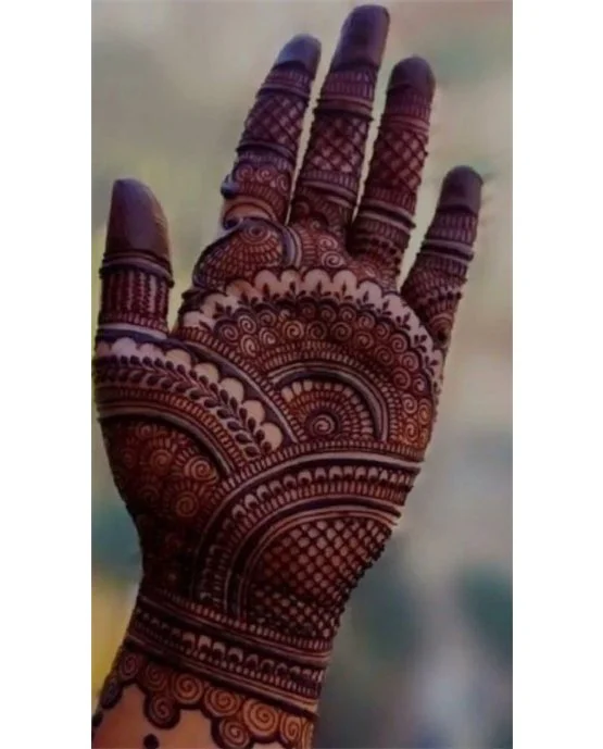Cultural Arch And Medallion Along Front Hand Mehndi Design